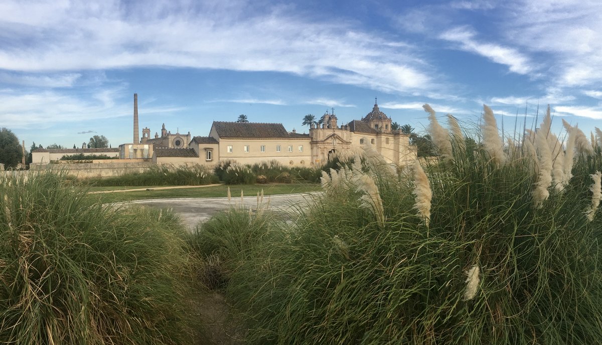 Monasterio de la Cartuja- Kartäuser Insel