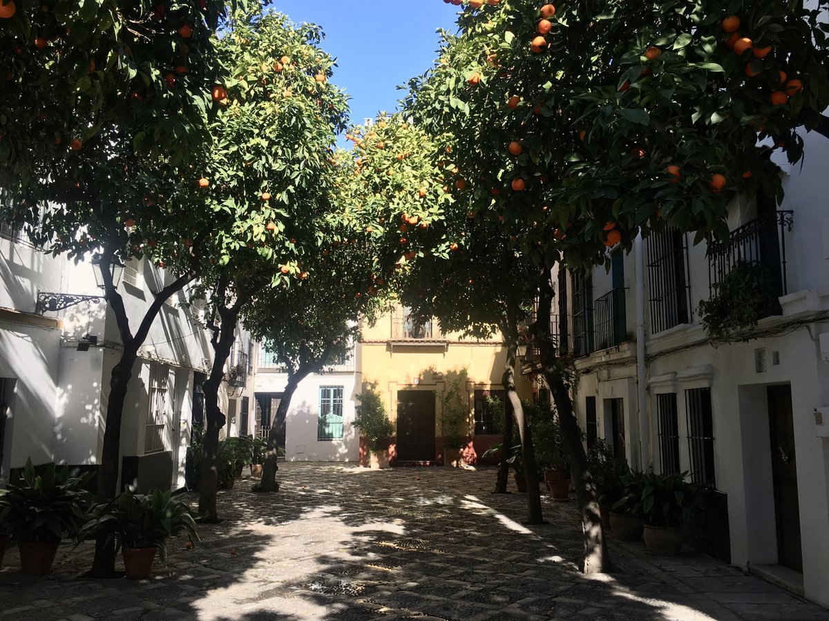 Plaza de Doña Elvira in Seville with bitter orange trees