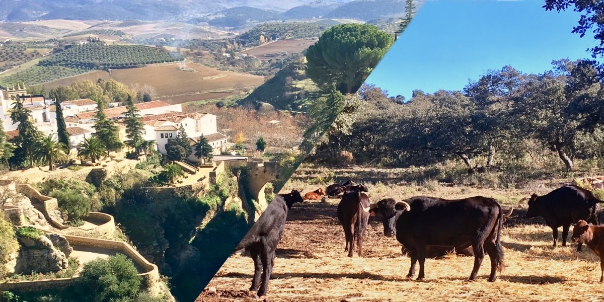 Familienausflug nach Ronda