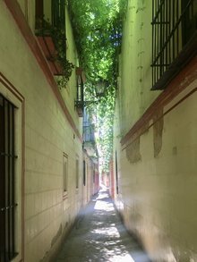 Barrio Santa Cruz in Sevilla