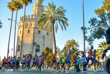 Seville marathon 